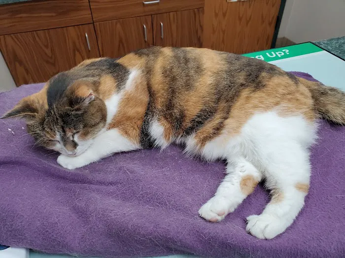 La Crescent Animal Care Picture 6