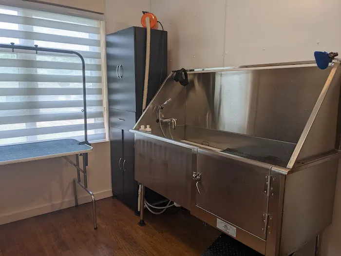 Olix Veterinary Clinic LLC Picture 7
