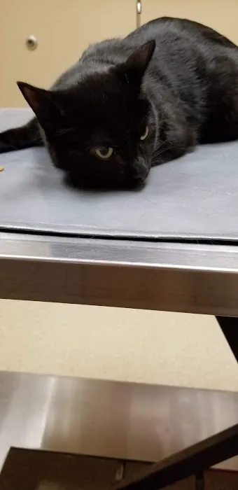 Thompson Animal Medical Center Picture 1