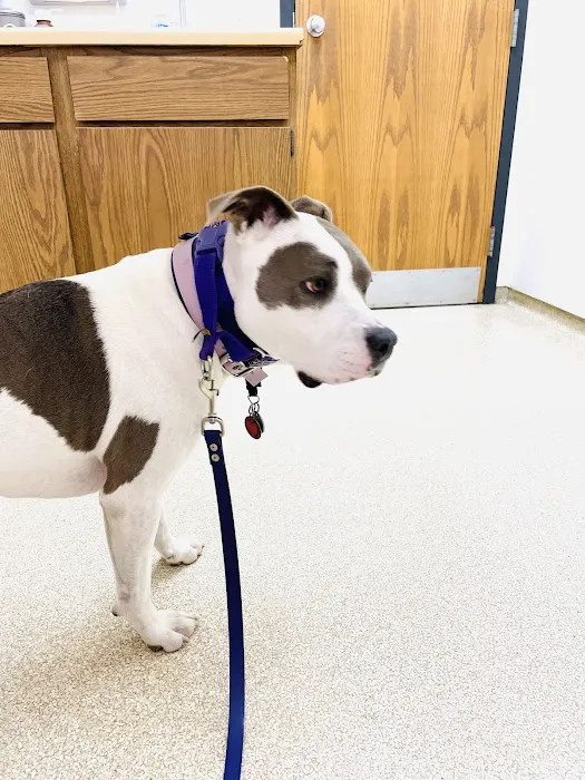 Thompson Animal Medical Center Picture 5