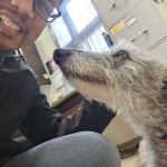 Caledonia Veterinary Clinic