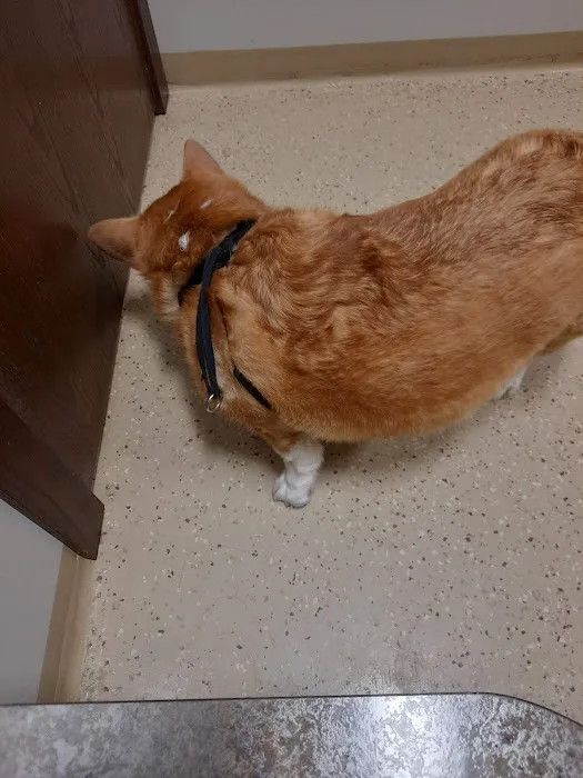 Caledonia Veterinary Clinic Picture 7