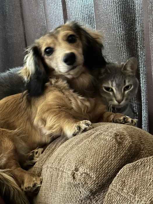 Northern Hope Veterinary Care Picture 9