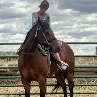 Block & Bridle Veterinary Service ico