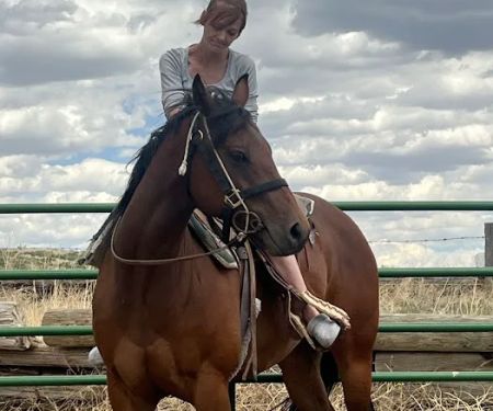 Block & Bridle Veterinary Service