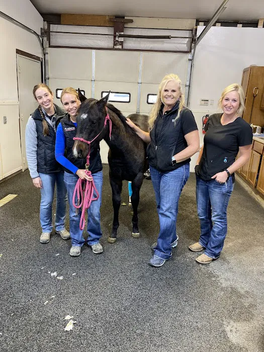 Block & Bridle Veterinary Service Picture 2