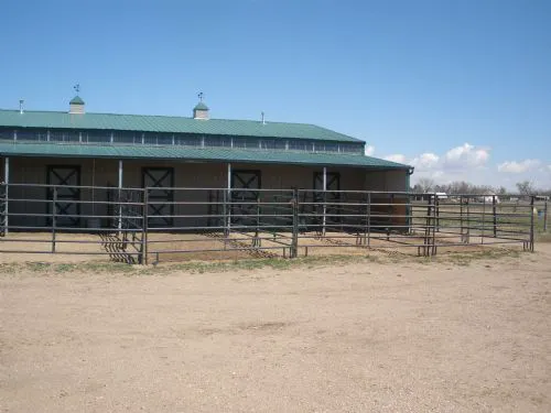 Block & Bridle Veterinary Service Picture 8