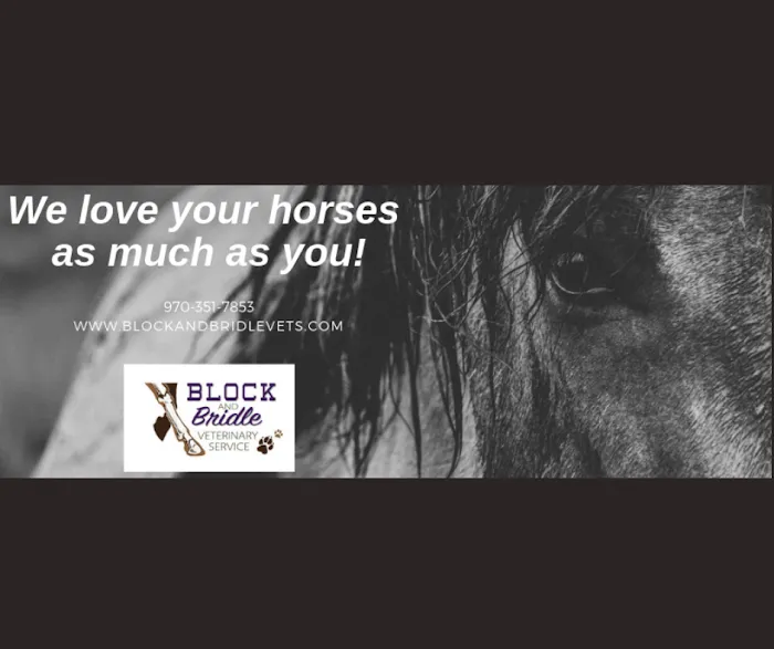 Block & Bridle Veterinary Service Picture 10