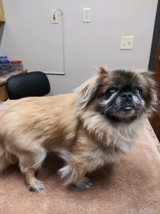 Raintree Animal Hospital Picture 6