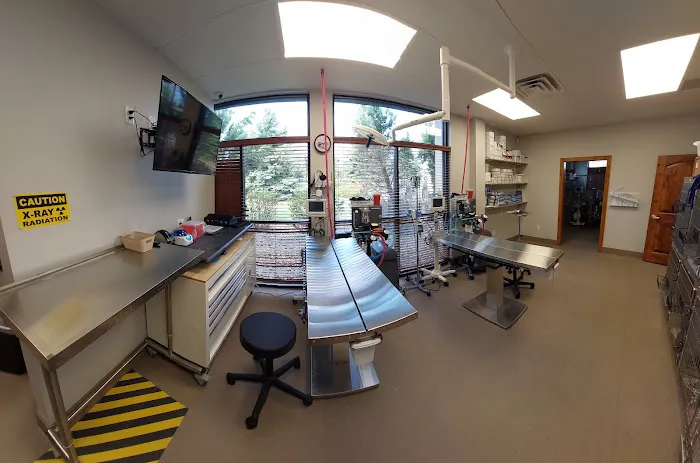 Animal Works - Veterinary Surgery Picture 2
