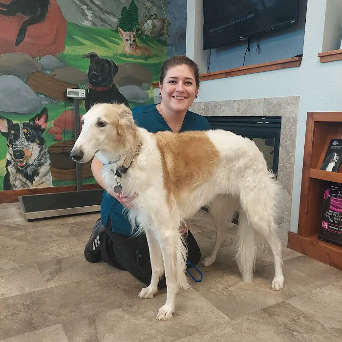 Animal Works - Veterinary Surgery Picture 10
