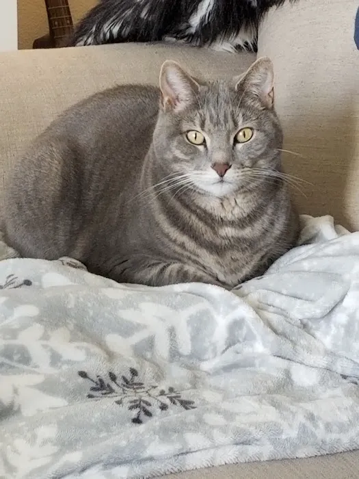 Elder Pet Care Picture 4