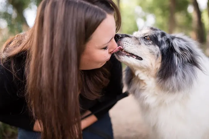 City Park Animal Clinic Picture 5