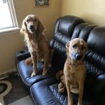 Mulnix Animal Clinic
