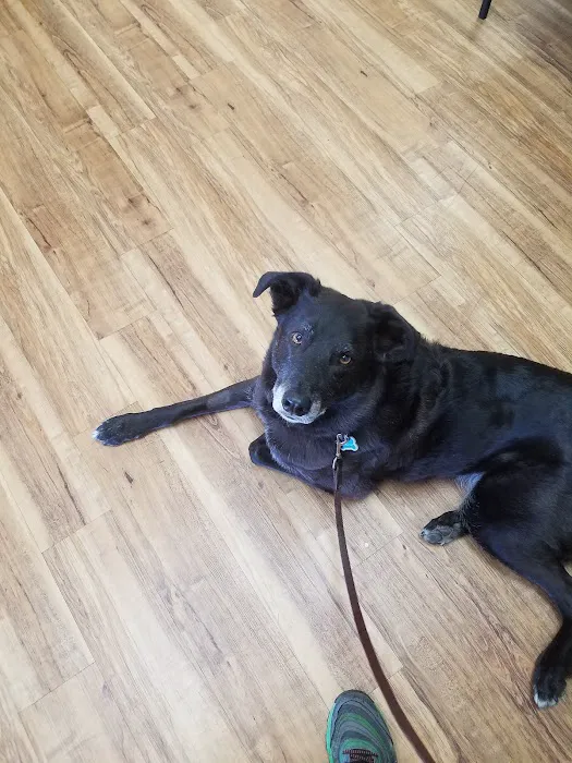 Mulnix Animal Clinic Picture 6