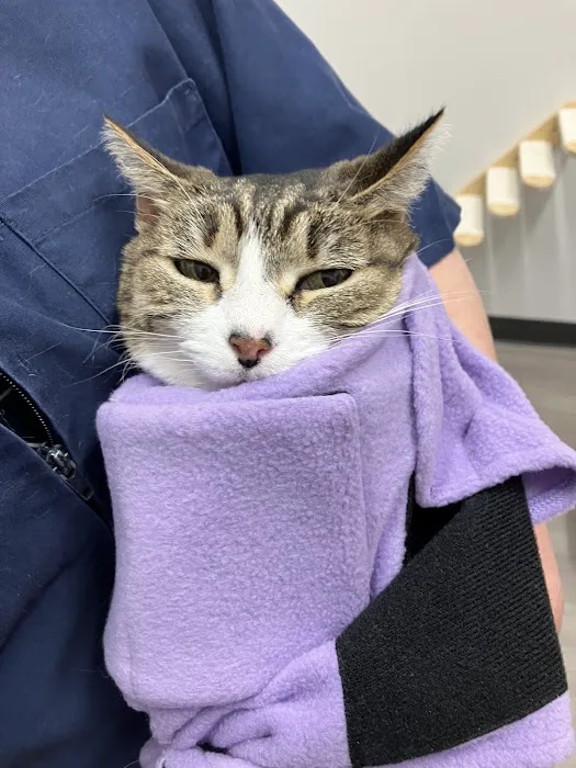 Mulnix Animal Clinic Picture 8