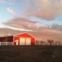 Animal Medical Services of the Rockies, PC ico
