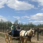 Equine Medical Services