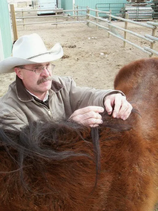 Equine Medical Services Picture 7