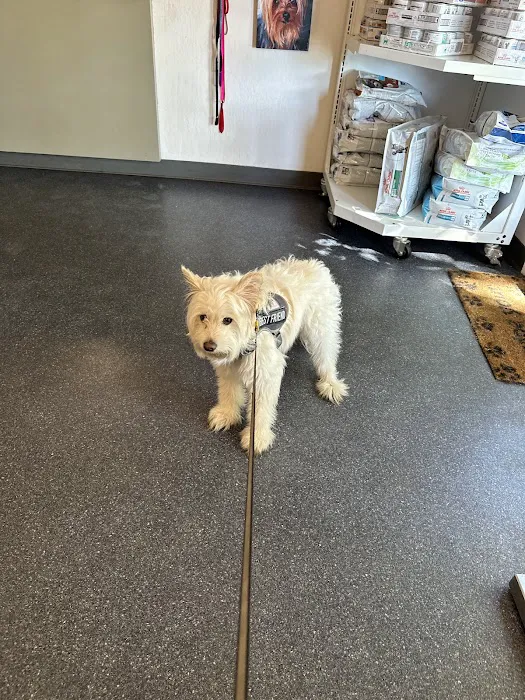 Tail Wag Inn Veterinary Hospital and Boarding Kennel Picture 9