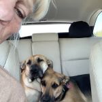 PetVet Vaccination Clinic