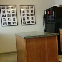 Standale Veterinary Hospital ico