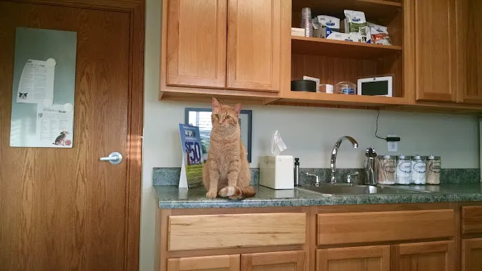 Standale Veterinary Hospital Picture 5