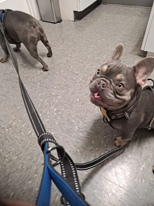 Holton Road Veterinary Clinic Picture 6