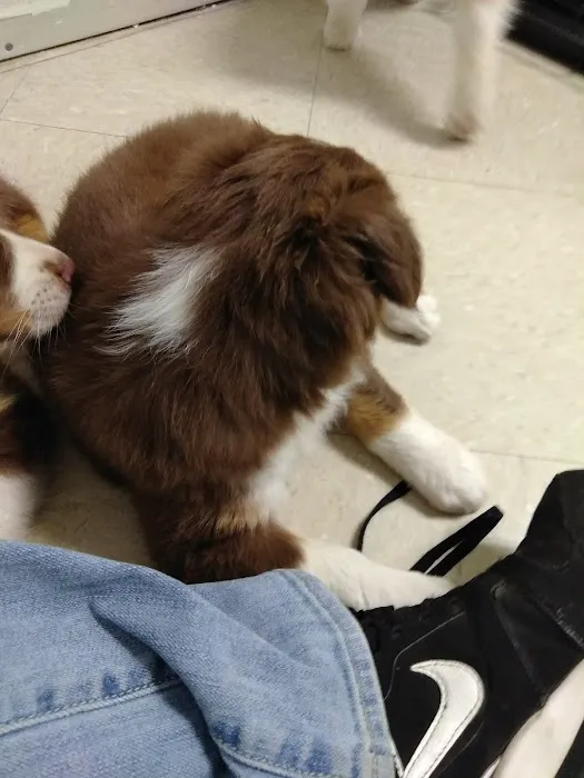Holton Road Veterinary Clinic Picture 9