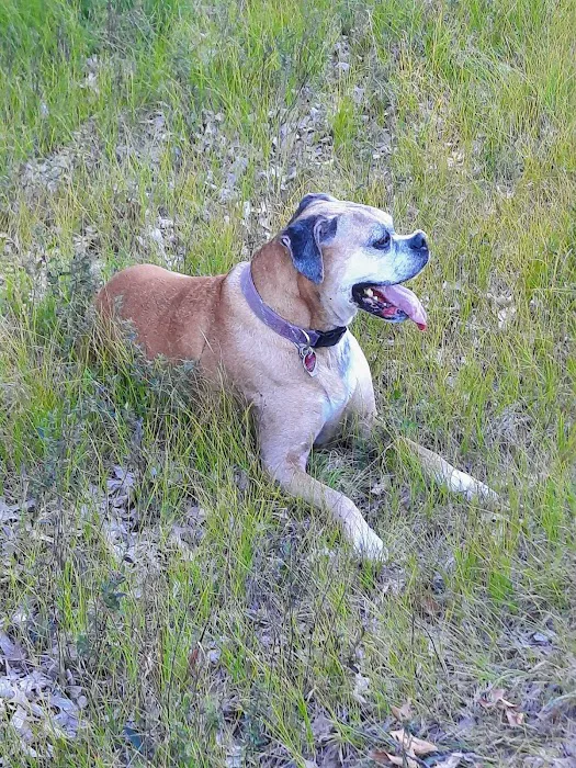 White Lake Animal Clinic Picture 2