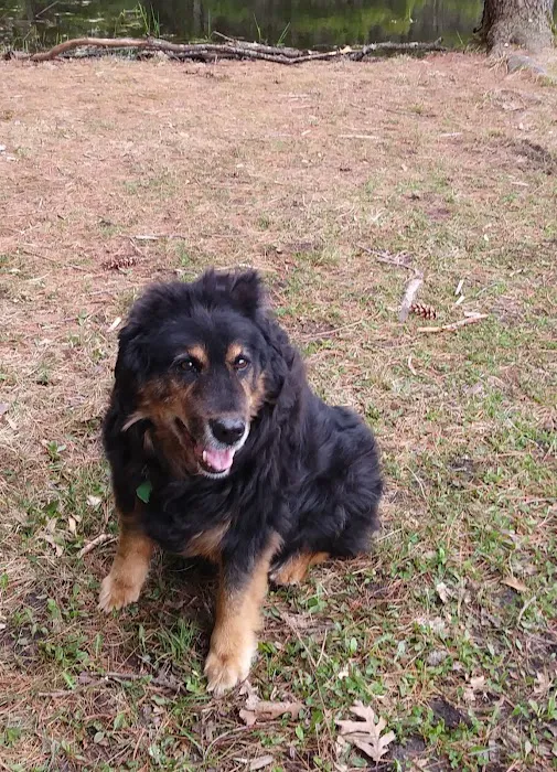 White Lake Animal Clinic Picture 6