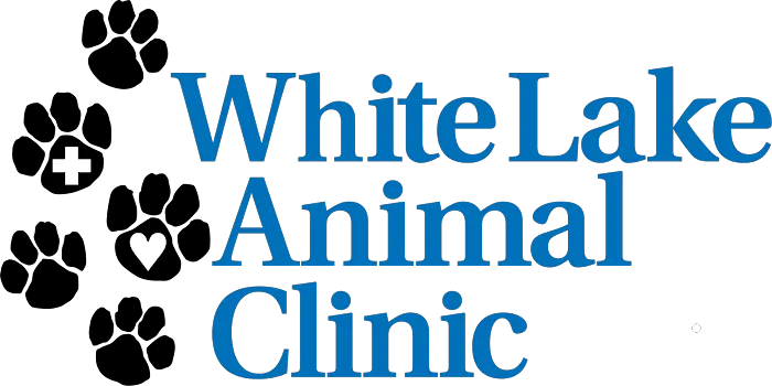 White Lake Animal Clinic Picture 7