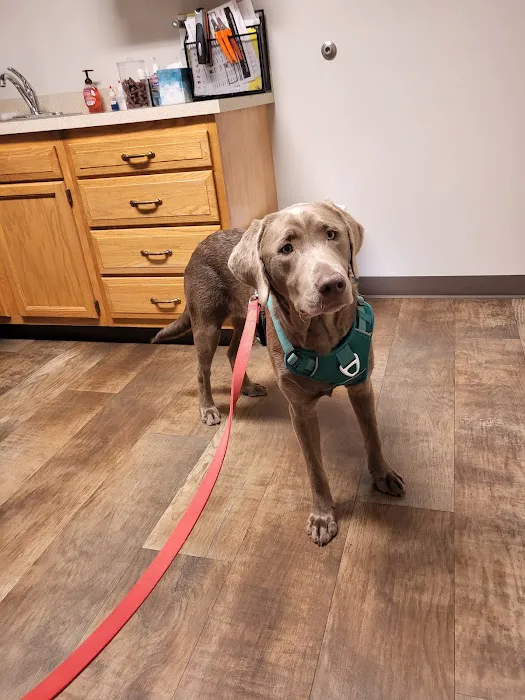 Oceana Veterinary Clinic Picture 6