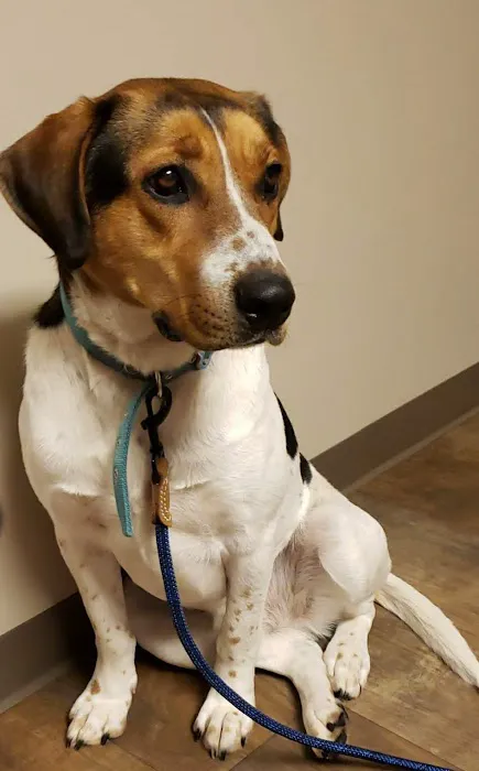 Oceana Veterinary Clinic Picture 10