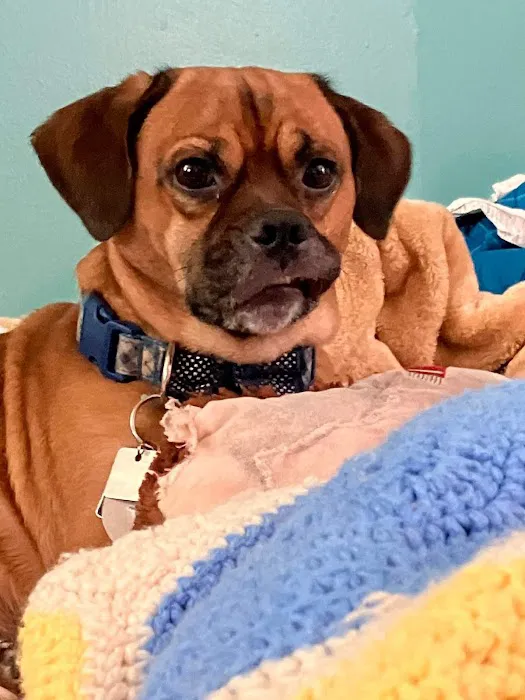 Outpatient Vet Clinic Picture 5