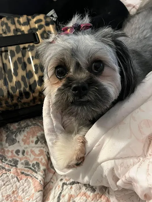Outpatient Vet Clinic Picture 7