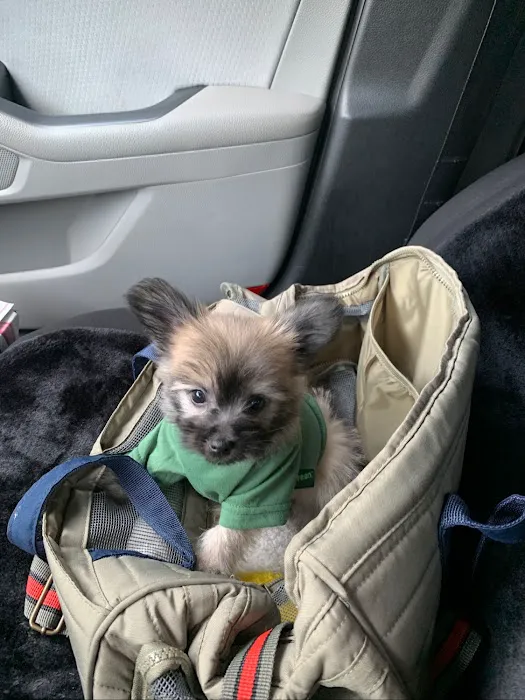 Outpatient Vet Clinic Picture 10