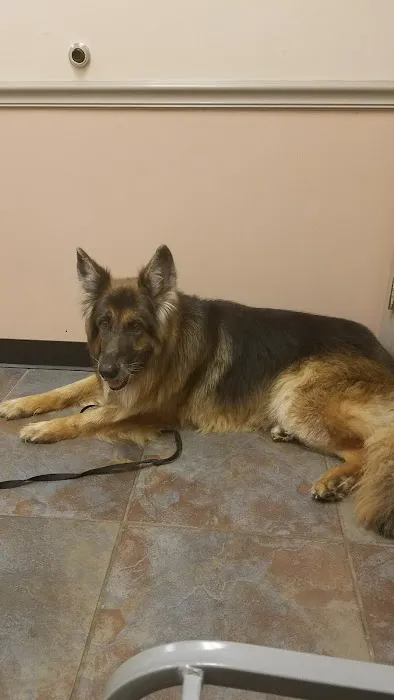 Highland Animal Hospital Picture 6