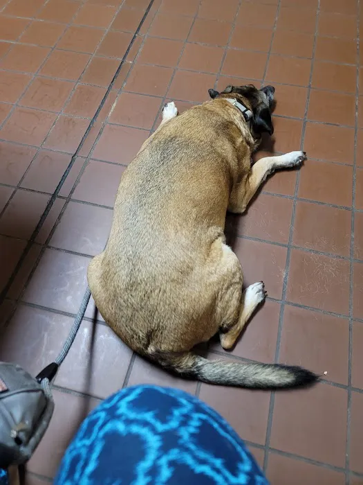 Aidmore Animal Clinic Picture 7