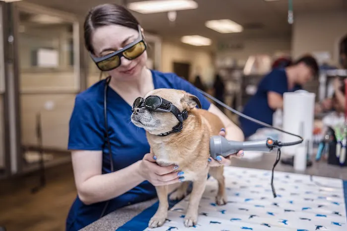 Hill Top Animal Hospital Picture 4