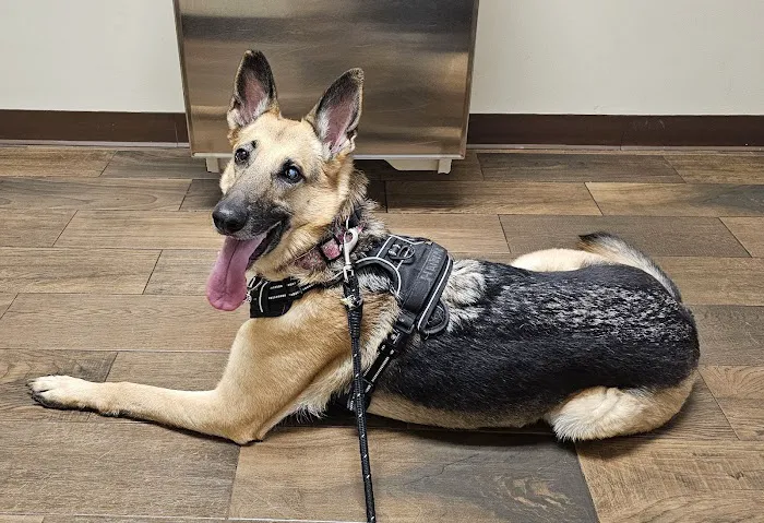 Hill Top Animal Hospital Picture 6