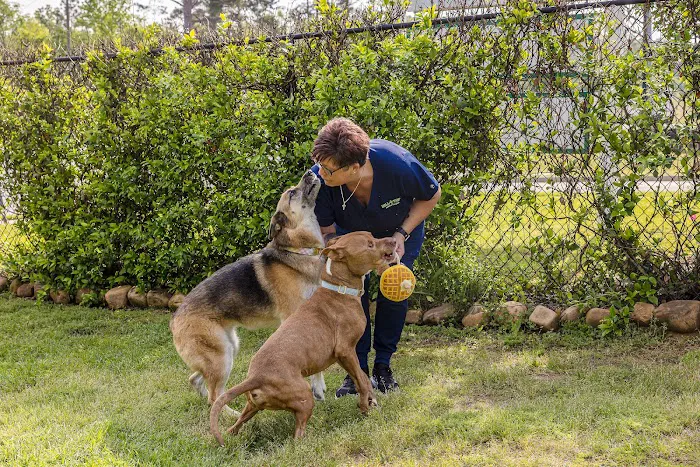 Hill Top Animal Hospital Picture 10
