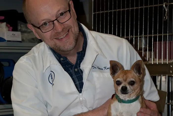 Paradise Animal Hospital Picture 2
