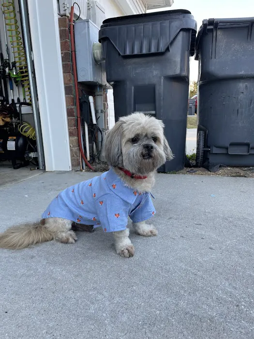 Paradise Animal Hospital Picture 10