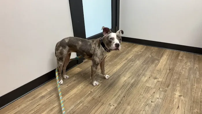 Euchee Creek Veterinary Clinic Picture 1