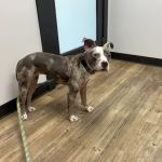 Euchee Creek Veterinary Clinic