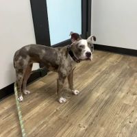 Euchee Creek Veterinary Clinic ico