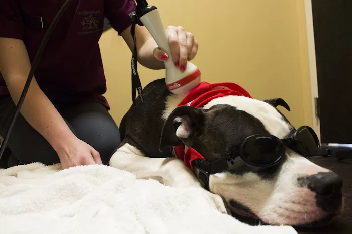 Greenbrier Veterinary Services Picture 7
