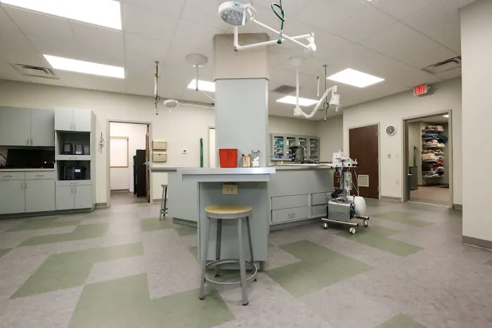 Greenbrier Veterinary Services Picture 9