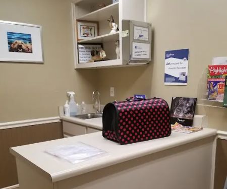 Summit Chase Animal Hospital